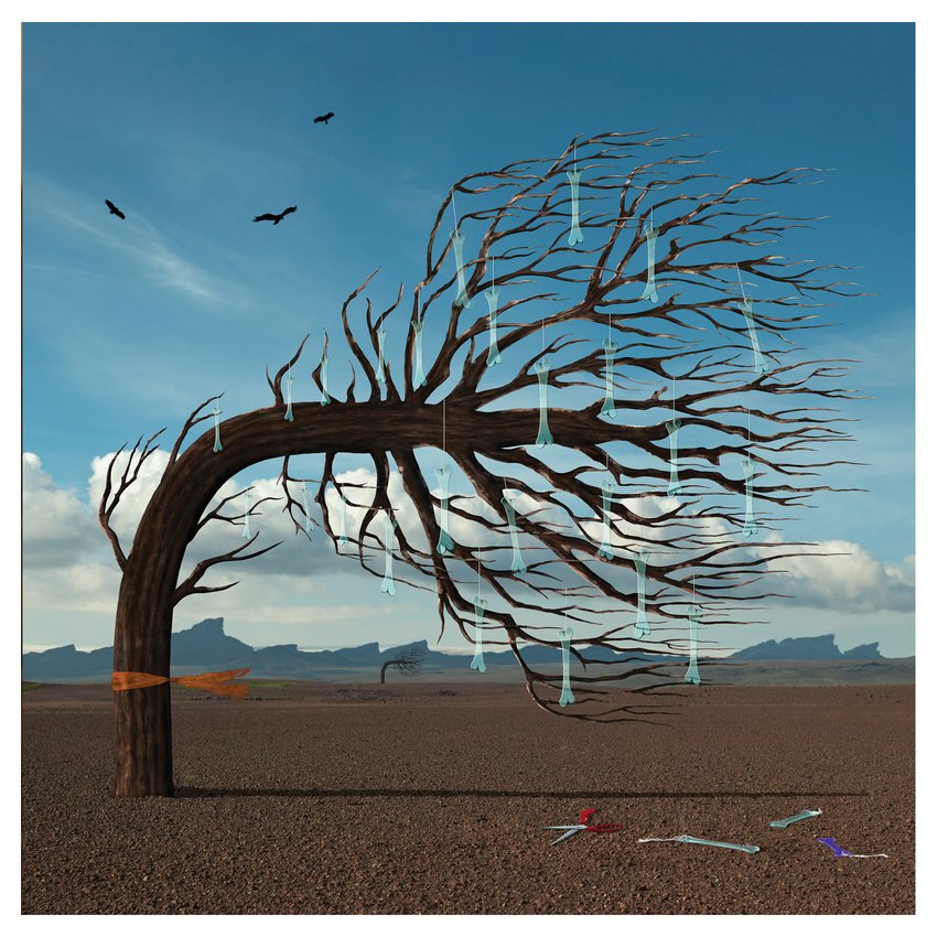 Storm Thorgerson album cover design of tree