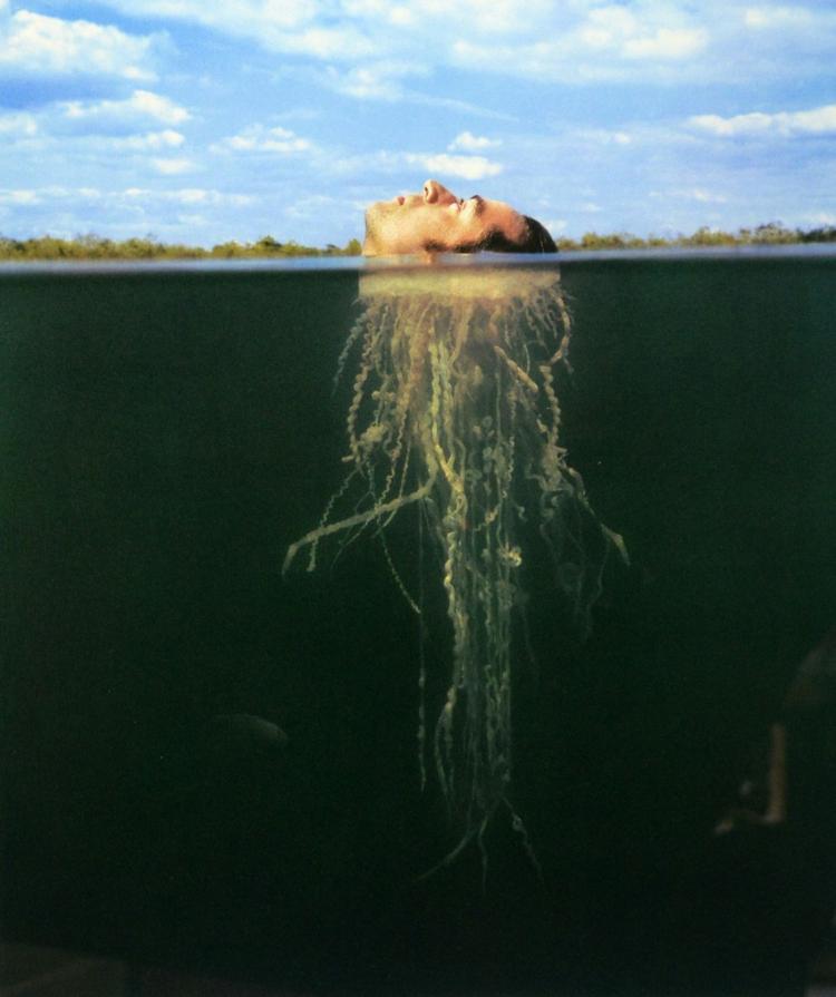 Storm Thorgerson album cover design of a medusa head