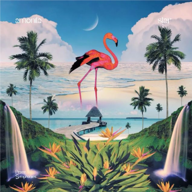 Album cover flamingo