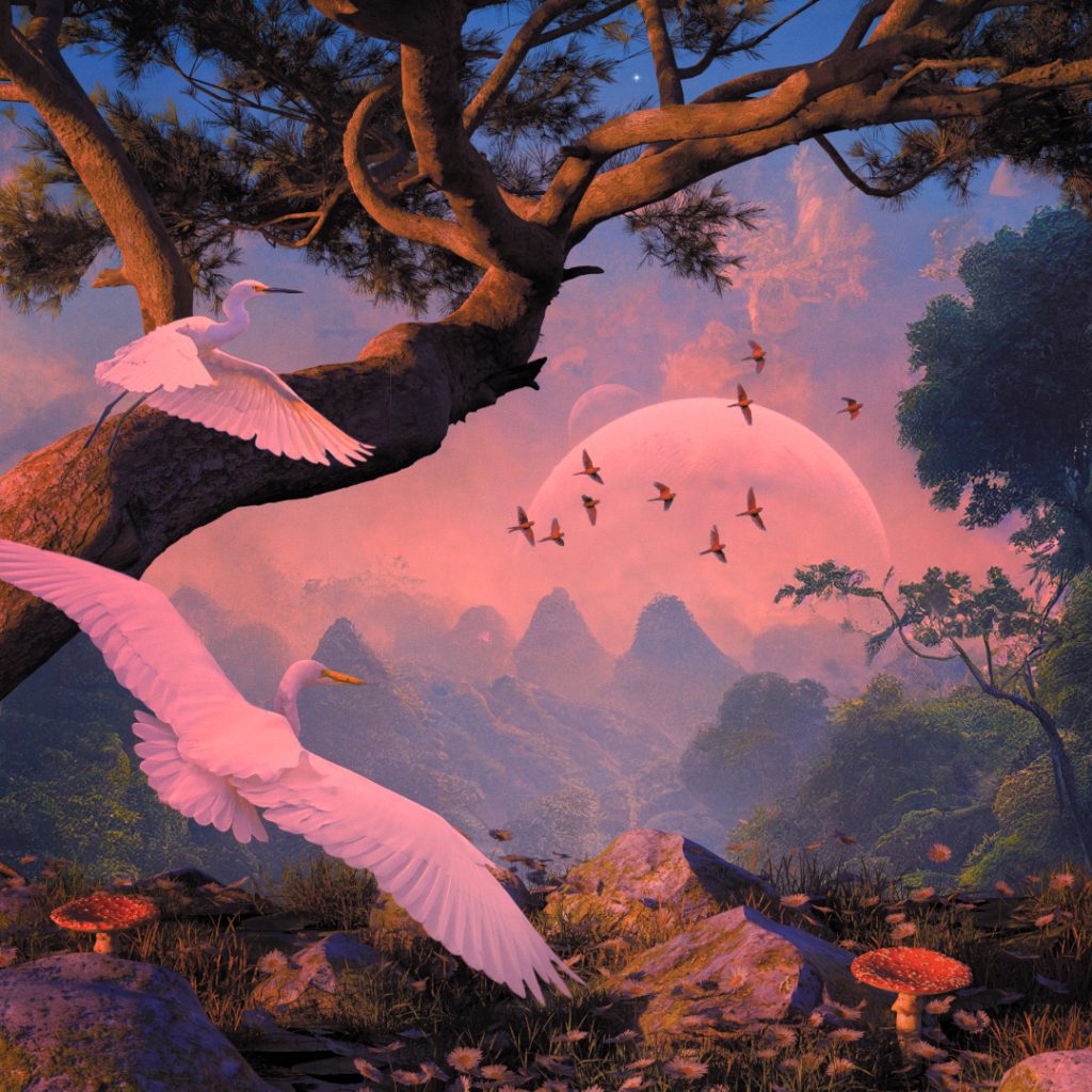heron-album-cover