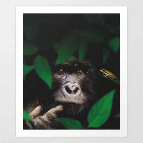curious-gorilla-art-print